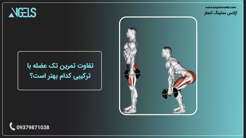 تمرینات تک عضله و ترکیبی