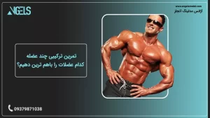 تمرین ترکیبی چند عضله
